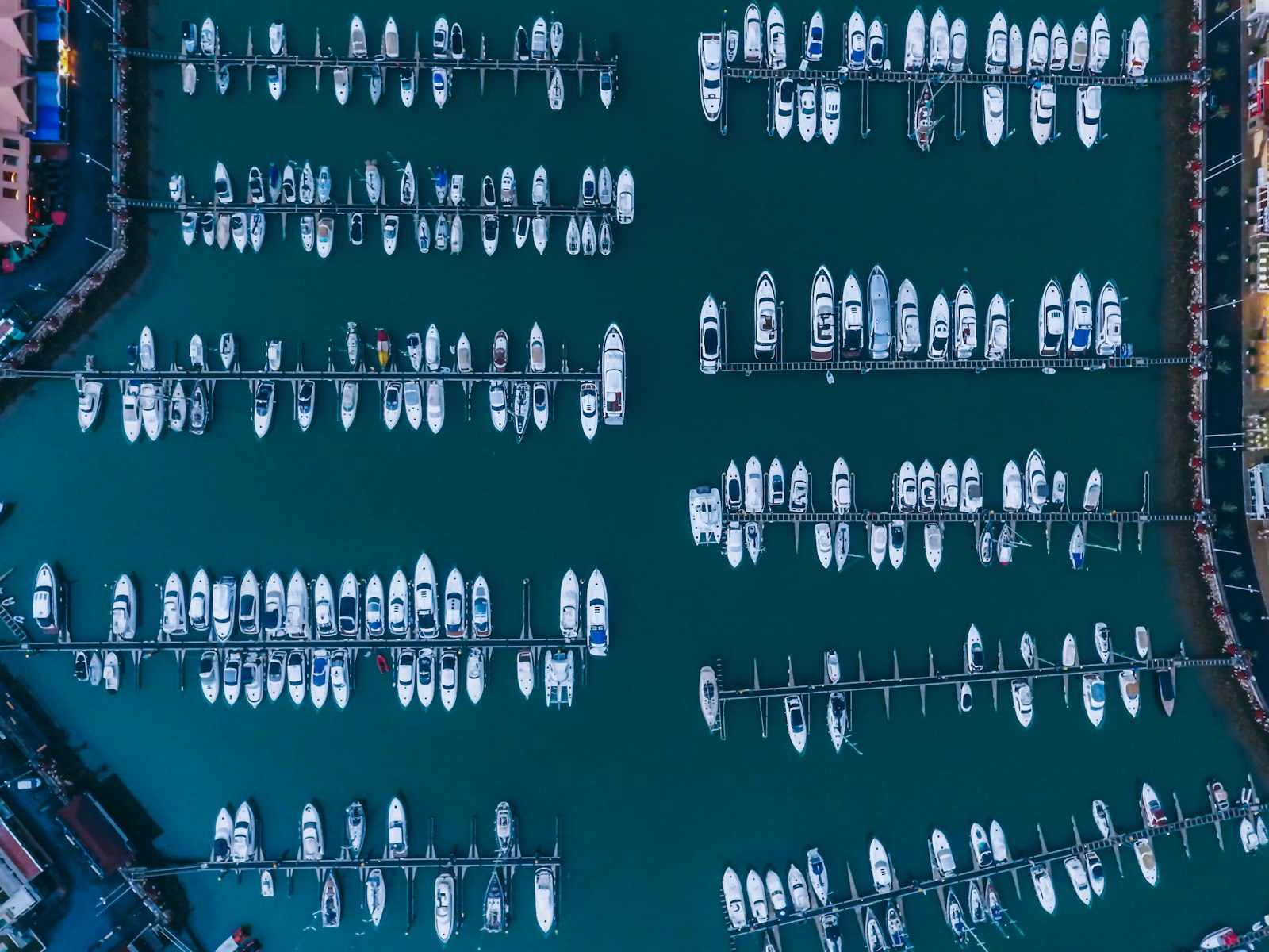 Miami International Boat Show